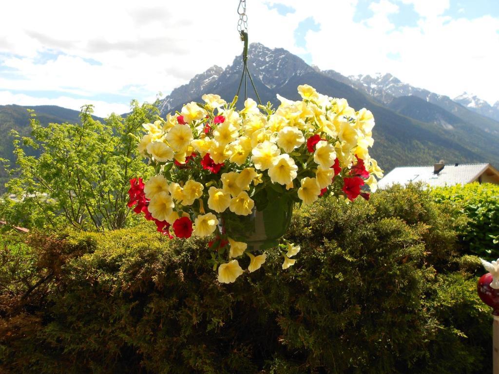 Haus Leitgeb Appartement Telfes im Stubai Buitenkant foto